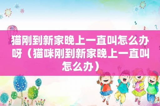 猫刚到新家晚上一直叫怎么办呀（猫咪刚到新家晚上一直叫怎么办）
