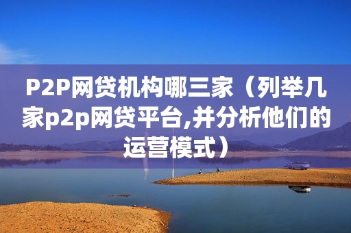 P2P网贷机构哪三家（列举几家p2p网贷平台,并分析他们的运营模式）