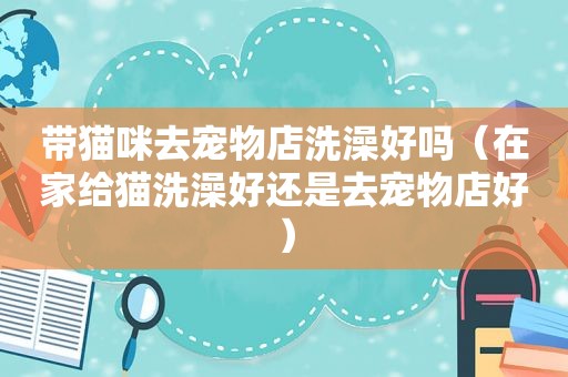 带猫咪去宠物店洗澡好吗（在家给猫洗澡好还是去宠物店好）
