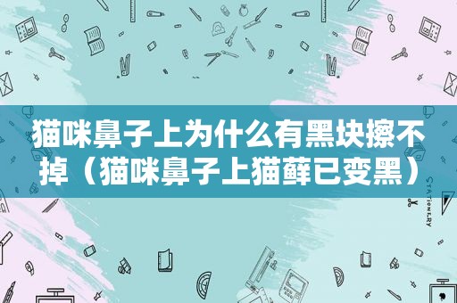 猫咪鼻子上为什么有黑块擦不掉（猫咪鼻子上猫藓已变黑）