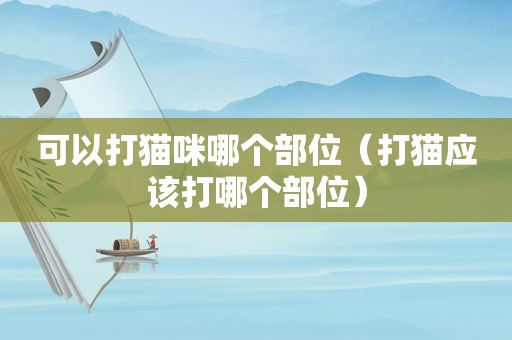 可以打猫咪哪个部位（打猫应该打哪个部位）