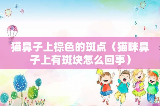 猫鼻子上棕色的斑点（猫咪鼻子上有斑块怎么回事）