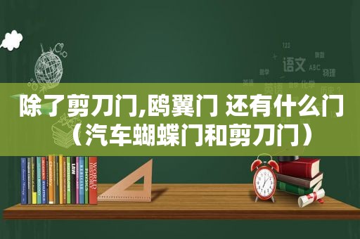 除了剪刀门,鸥翼门 还有什么门（汽车蝴蝶门和剪刀门）