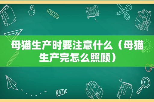 母猫生产时要注意什么（母猫生产完怎么照顾）