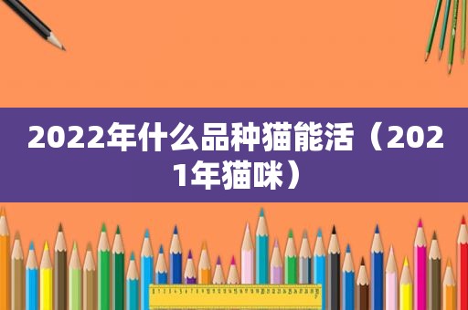 2022年什么品种猫能活（2021年猫咪）