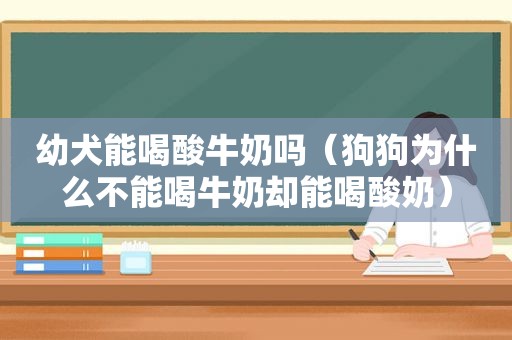 幼犬能喝酸牛奶吗（狗狗为什么不能喝牛奶却能喝酸奶）