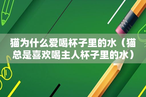 猫为什么爱喝杯子里的水（猫总是喜欢喝主人杯子里的水）