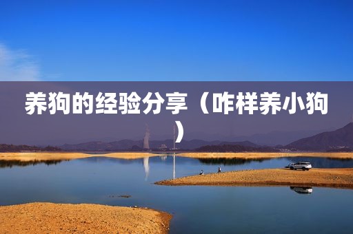 养狗的经验分享（咋样养小狗）