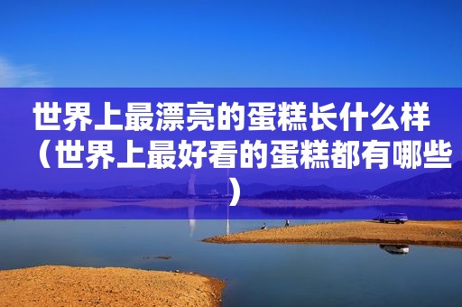 世界上最漂亮的蛋糕长什么样（世界上最好看的蛋糕都有哪些）