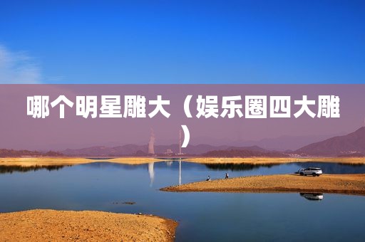 哪个明星雕大（娱乐圈四大雕）