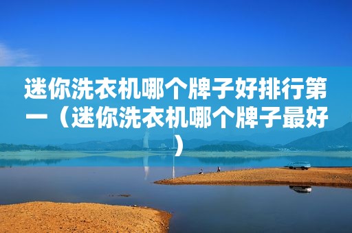 迷你洗衣机哪个牌子好排行第一（迷你洗衣机哪个牌子最好）