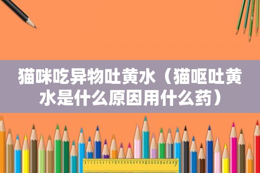 猫咪吃异物吐黄水（猫呕吐黄水是什么原因用什么药）