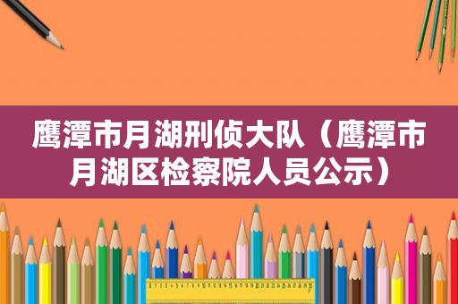 鹰潭市月湖刑侦大队（鹰潭市月湖区检察院人员公示）