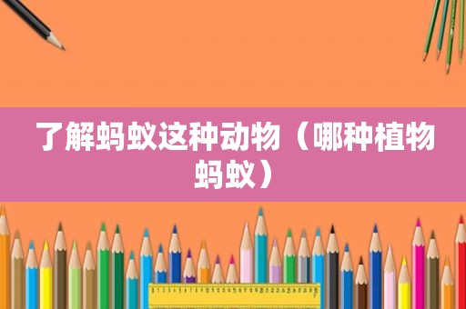 了解蚂蚁这种动物（哪种植物蚂蚁）