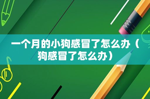 一个月的小狗感冒了怎么办（狗感冒了怎么办）