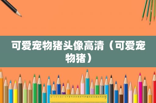 可爱宠物猪头像高清（可爱宠物猪）