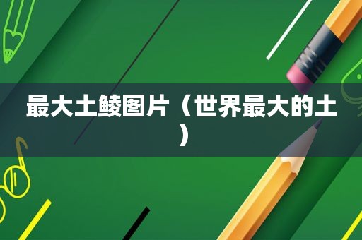 最大土鲮图片（世界最大的土）