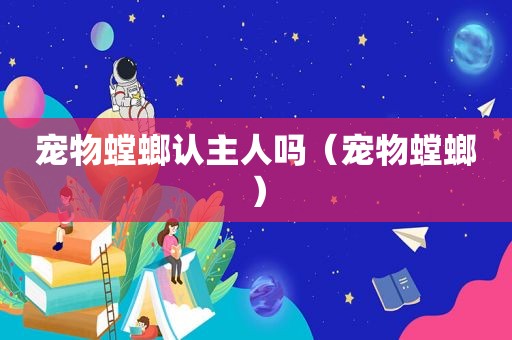 宠物螳螂认主人吗（宠物螳螂）