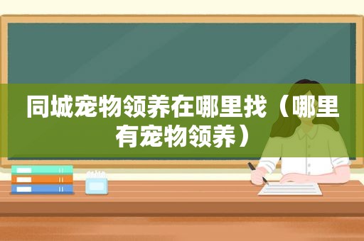 同城宠物领养在哪里找（哪里有宠物领养）