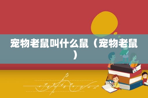 宠物老鼠叫什么鼠（宠物老鼠）