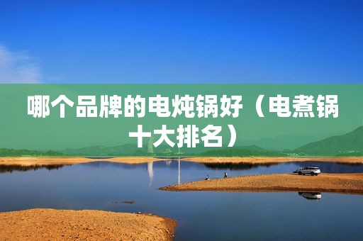 哪个品牌的电炖锅好（电煮锅十大排名）