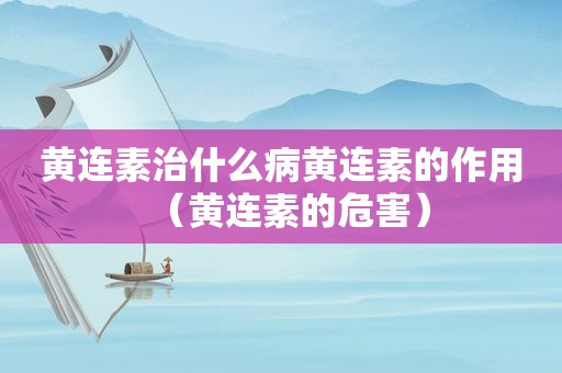 黄连素治什么病黄连素的作用（黄连素的危害）