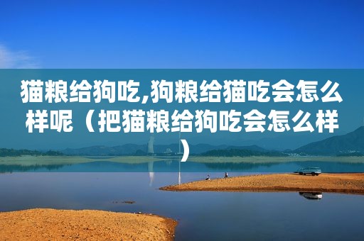 猫粮给狗吃,狗粮给猫吃会怎么样呢（把猫粮给狗吃会怎么样）
