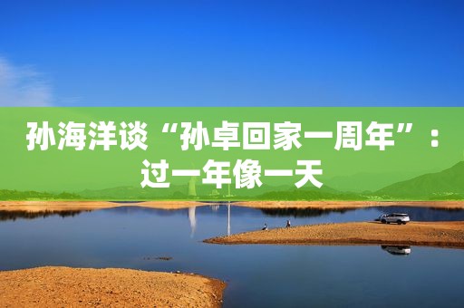 孙海洋谈“孙卓回家一周年”：过一年像一天