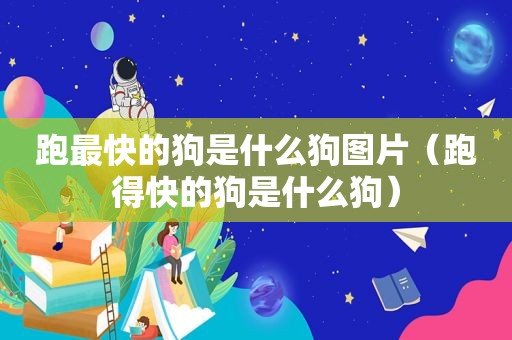 跑最快的狗是什么狗图片（ *** 的狗是什么狗）