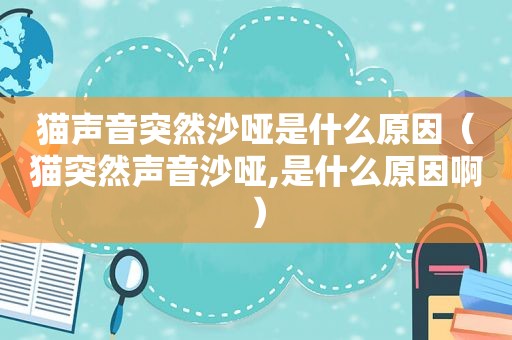 猫声音突然沙哑是什么原因（猫突然声音沙哑,是什么原因啊）