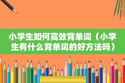 小学生如何高效背单词（小学生有什么背单词的好方法吗）