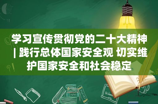 学习宣传贯彻党的二十大精神 | 践行总体国家安全观 切实维护国家安全和社会稳定