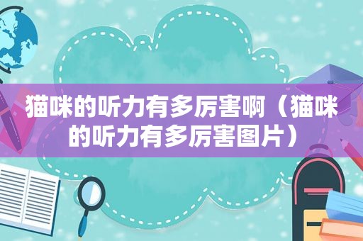 猫咪的听力有多厉害啊（猫咪的听力有多厉害图片）