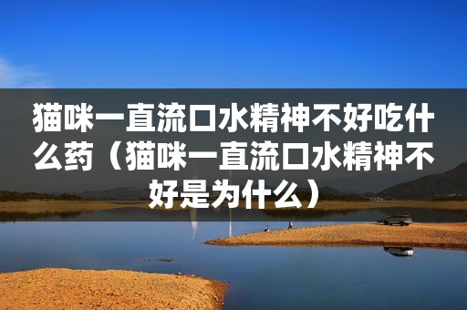 猫咪一直流口水精神不好吃什么药（猫咪一直流口水精神不好是为什么）