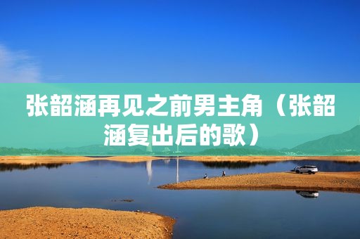 张韶涵再见之前男主角（张韶涵复出后的歌）