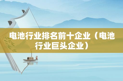 电池行业排名前十企业（电池行业巨头企业）