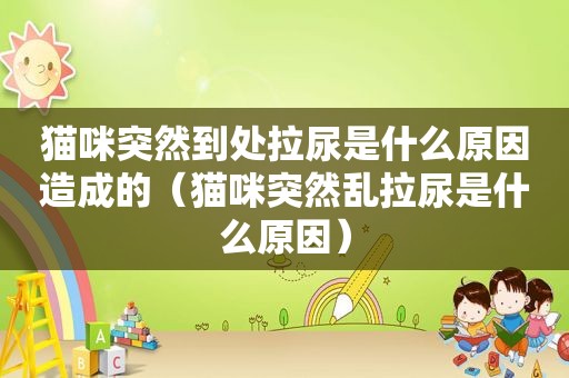 猫咪突然到处拉尿是什么原因造成的（猫咪突然乱拉尿是什么原因）