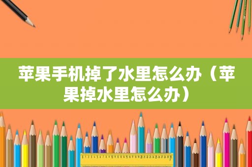 苹果手机掉了水里怎么办（苹果掉水里怎么办）