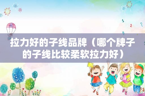拉力好的子线品牌（哪个牌子的子线比较柔软拉力好）