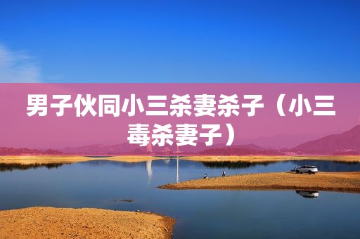 男子伙同小三杀妻杀子（小三毒杀妻子）