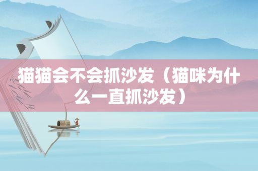 猫猫会不会抓沙发（猫咪为什么一直抓沙发）