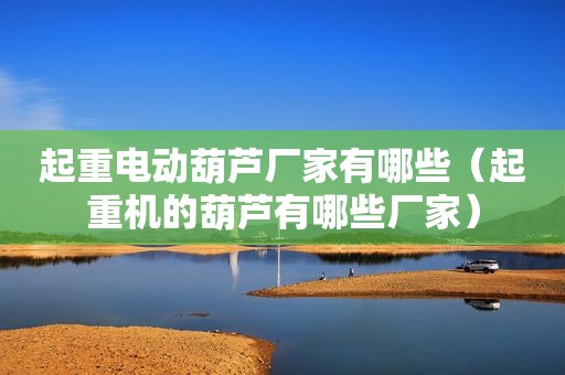起重电动葫芦厂家有哪些（起重机的葫芦有哪些厂家）