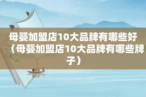 母婴加盟店10大品牌有哪些好（母婴加盟店10大品牌有哪些牌子）
