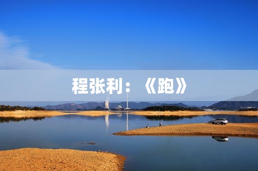 程张利：《跑》