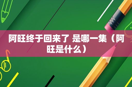 阿旺终于回来了 是哪一集（阿旺是什么）