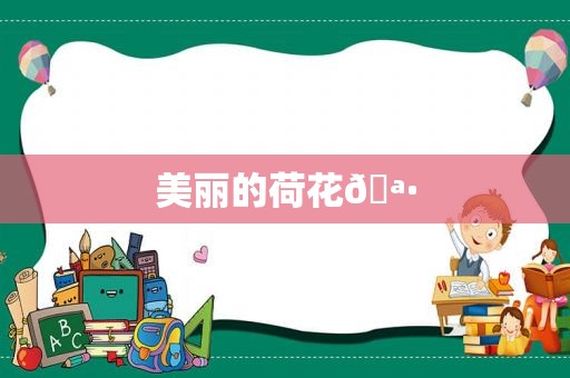 美丽的荷花🪷