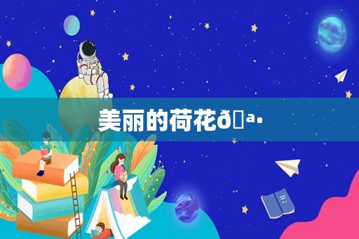 美丽的荷花🪷