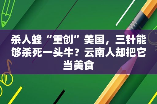 杀人蜂“重创”美国，三针能够杀死一头牛？云南人却把它当美食