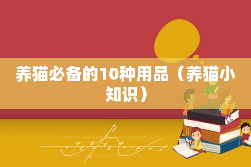 养猫必备的10种用品（养猫小知识）