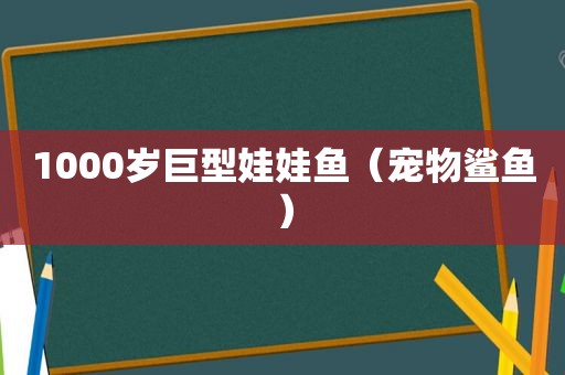 1000岁巨型娃娃鱼（宠物鲨鱼）